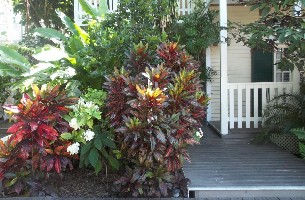 Bed and Breakfast Duval House Cayo Hueso Exterior foto